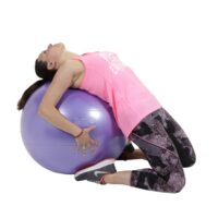 1912-1_gymnic-plus-65-cm-fialova-original-italy - AEROBIC.sk