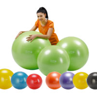 330_gymnic-plus-1 - AEROBIC.sk