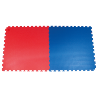 TATAMI GYM 20 1x1m