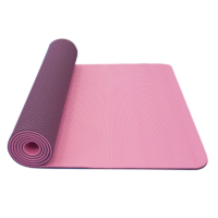 YOGA MAT TPE 6 mm ruzova fialova - AEROBIC.sk