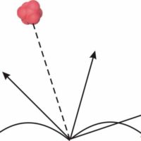 Neposlušná loptička (reaction ball)