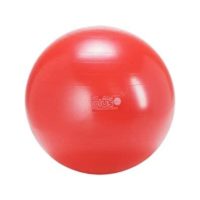 Gymnic classic Plus 55 cn red (1) - AEROBIC.sk Gymnic classic Plus 55 cn red