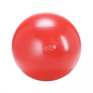 Gymnic classic Plus 55 cn red