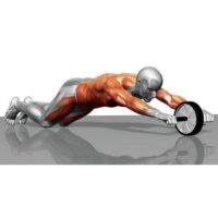 Kolečko posilovací Plus - AEROBIC.sk Kolečko posilovací Plus