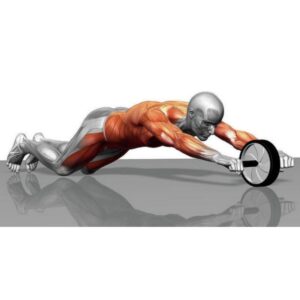 Kolečko posilovací Plus