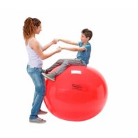 Fitlopta Physio Gymnic Plus 85 cm