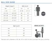 Physio Gymnic Plus - AEROBIC.sk Physio Gymnic Plus,fitlopty,veľké lopty