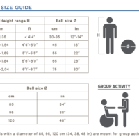 Physio Gymnic Plus,fitlopty,veľké lopty