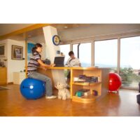 SitSolution standard 65 cm (3) - AEROBIC.sk