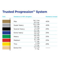 Thera band -4 progression system - AEROBIC.sk