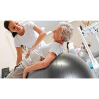 Fitlopta PhysioBall Standard 85 cm - AEROBIC.sk Fitlopta PhysioBall Standard 85 cm